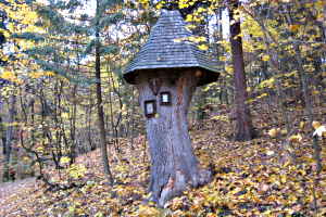Bildbaum Schlosswald Maissau