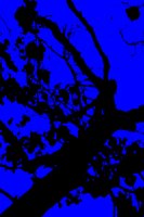 blau-schwarzer Baumstruktur