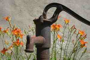 alter Brunnen mit Blumen