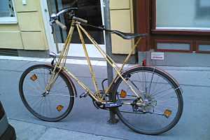 Spezialfahrrad