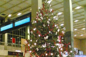 Christbaum am Westbahnhof