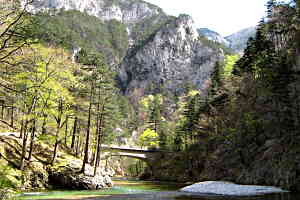 Brücke im Höllental