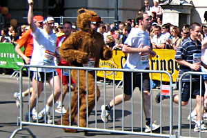 Teddybär beim Marathon