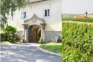 Weingut Wittmann